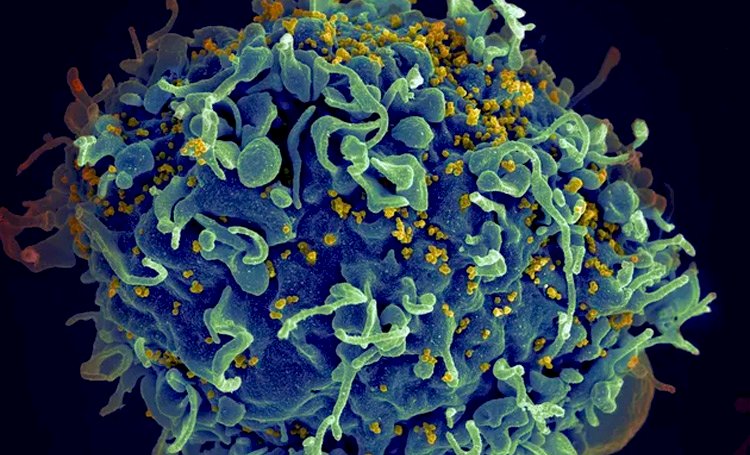 HIV: OMS recomenda medicamento injetável de ação prolongada para prevenir infecção pelo vírus.