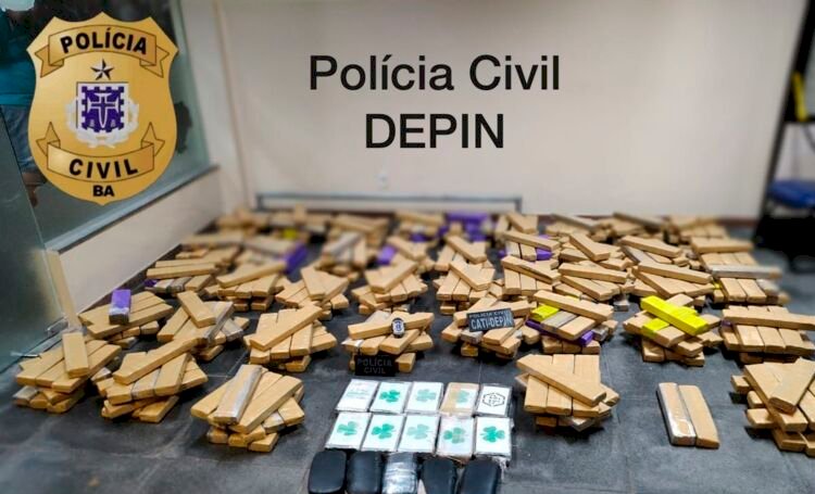 Policia apreende mais de 420 quilos de drogas em Feira de Santana