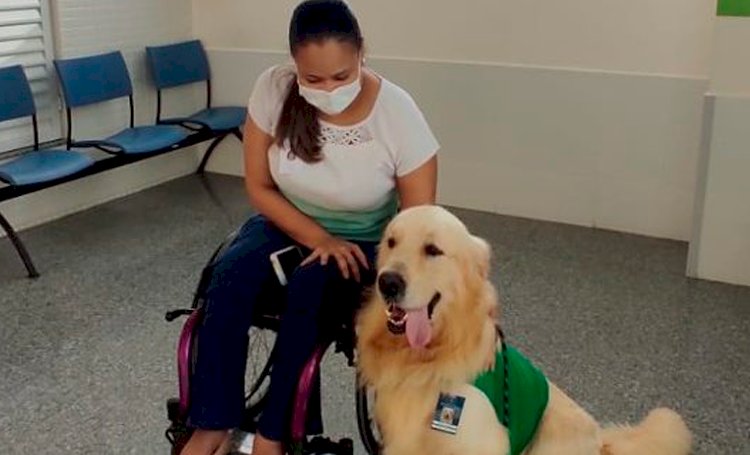 Cão terapeuta auxilia crianças e adultos em tratamento no Hospital Municipal de Salvador (HMS)