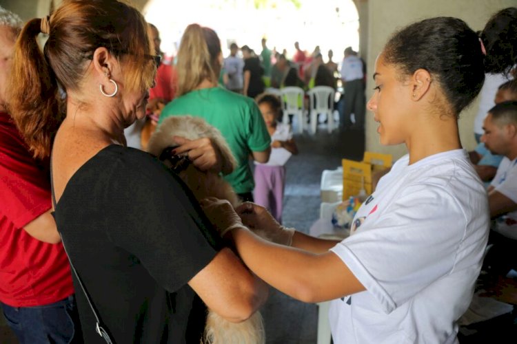 Pau da Lima terá aplicação de vacina V10 para cães e gatos